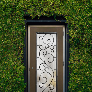 Front Doors that Stand Out