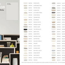Trending Wall Color Options