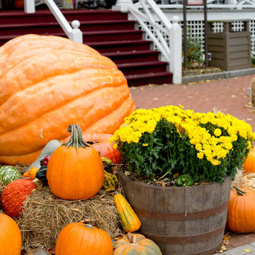 Houzz TV: Take a Leaf-Peeping Road Trip in New England