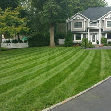 Beautiful Lawn Stripes