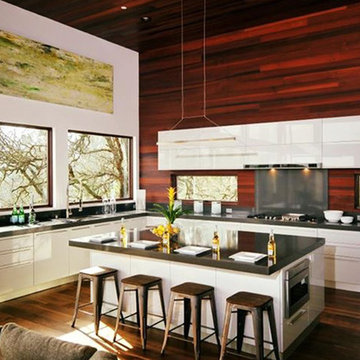 Alta Residence Kitchen, CA