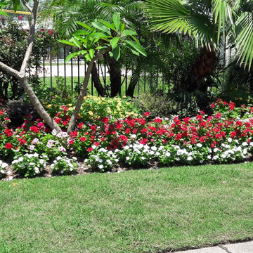 More Lawn Care & Landscaping Work