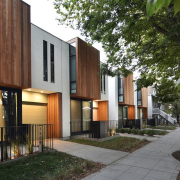Mansion Flats Modern
