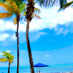 Surf Lessons in Puerto Rico, 16x24 Fine Art Canvas, .75" depth - Fine Art Prints