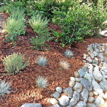 Low-Maintenance Landscape-Drought-tolerant Plants, Mulch & Rock Border