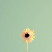 수정 최s foto