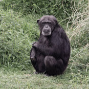 Foto von Graham Bamber