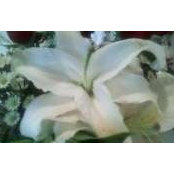 Sheron Smith's photo
