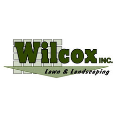 Wilcox, Inc.