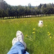 Peg Guditus's photo