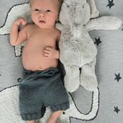 Anna Johnstonさんの写真