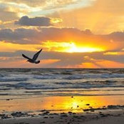 Cheryl Vaught's photo