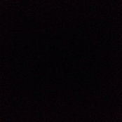 Molly Jarvis's photo