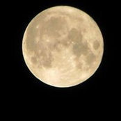 Lenore Nevermore's photo