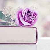 Heba Mohsen's photo