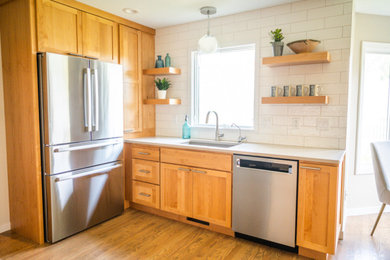 Kitchen - contemporary kitchen idea in Cedar Rapids