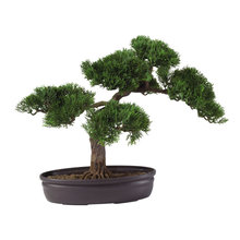 Wish List
