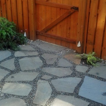 Shirlington Back Yard