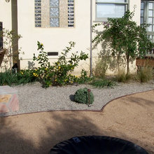 Meadow Backyard Sept 2021