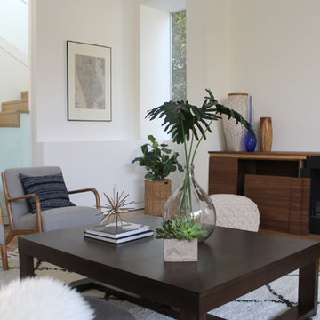 Tropical Plants in California Coastal Style Living Room