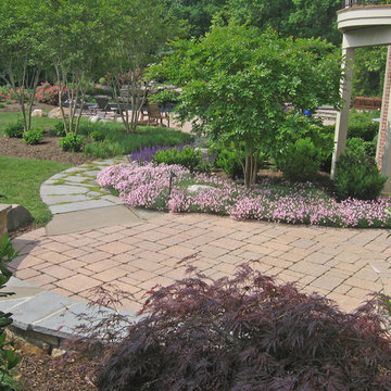 Backyard Lagoon