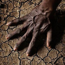 crown capital management climate concerns