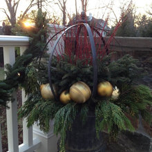 Xmas greenery