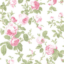 Wallpaper/Wall Decor