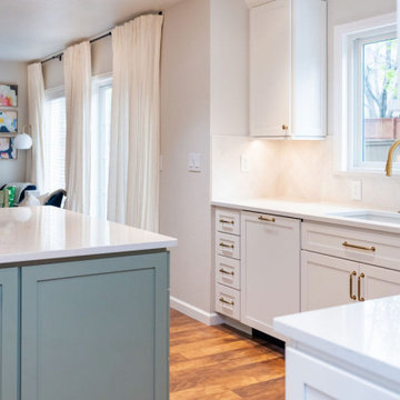 Where Family Gathers, Highlands Ranch Kitchen Remodel