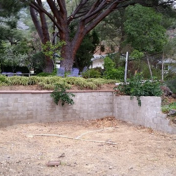 Backyard BEFORE