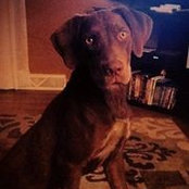 Cassie Eckerle's photo