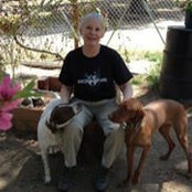 Cheryl Child's photo