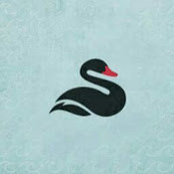 anam tariq's photo