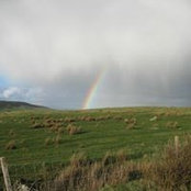 Colleen Milne's photo