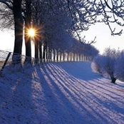 Christine Barringer's photo