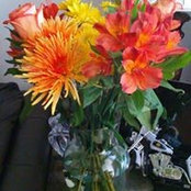 Corinne Danino's photo