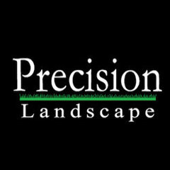 Precision Landscape