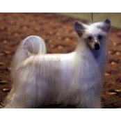 Ellen Keenan's photo