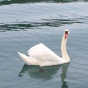 Lynn Larabie's photo