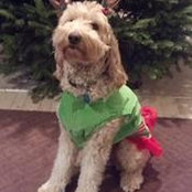 Ryan Cook's photo