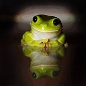 Patrick Neary's photo
