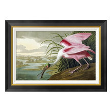 Roseate spoonbill
