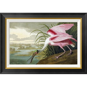 "Roseate Spoonbill" Framed Canvas Giclee by John James Audubon, 28x20"