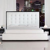 Ludlow Modern Wenge Platform Bed in White Leather