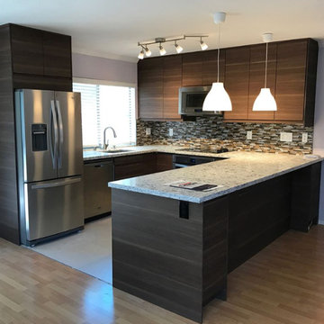 Kitchen Remodel/Renovation