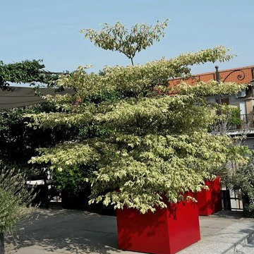 Terrazzo Milano