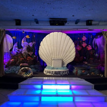 Under the sea
