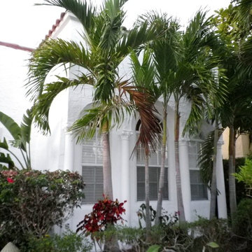 palladian windows framed with columns and flanked by palm trees