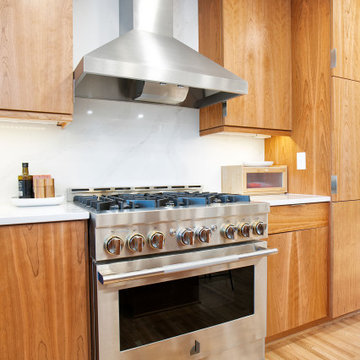 Project 3680-1 Minneapolis Scandinavia Modern Whole House Renovation