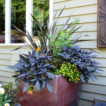 Container Gardens